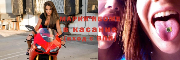 шишки Белоозёрский