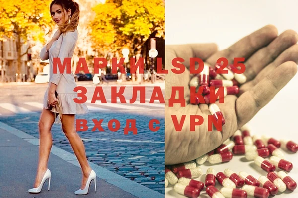 прущие грибы Беломорск
