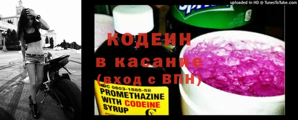 прущие грибы Беломорск