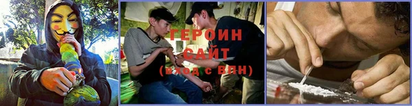 прущие грибы Беломорск