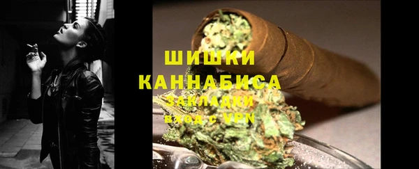 шишки Белоозёрский