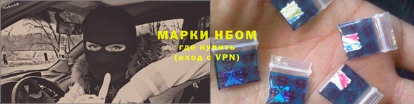 прущие грибы Беломорск