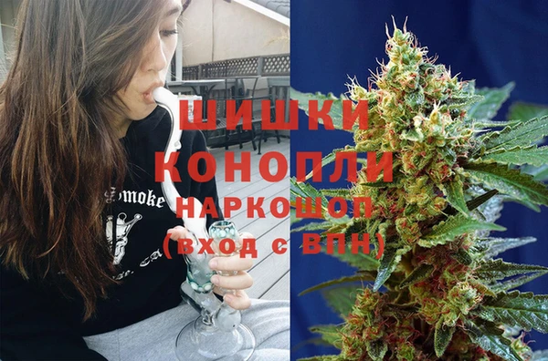 прущие грибы Беломорск