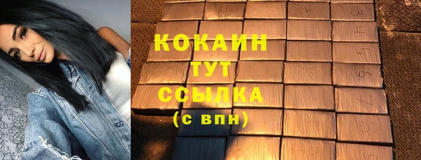 шишки Белоозёрский