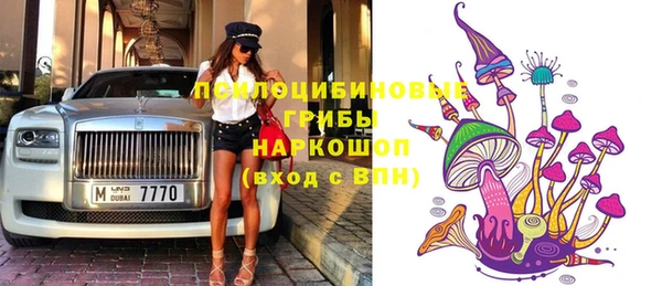 прущие грибы Беломорск