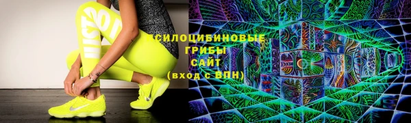 шишки Белоозёрский