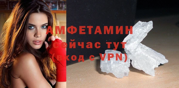 шишки Белоозёрский
