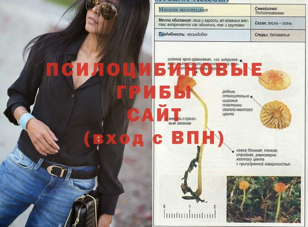 шишки Белоозёрский