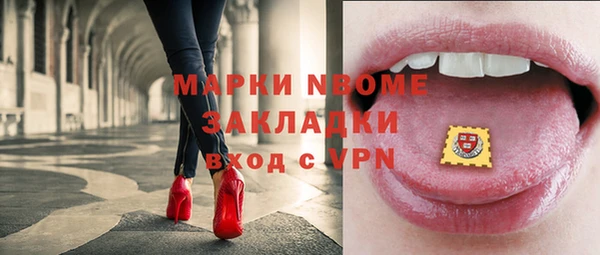 прущие грибы Беломорск