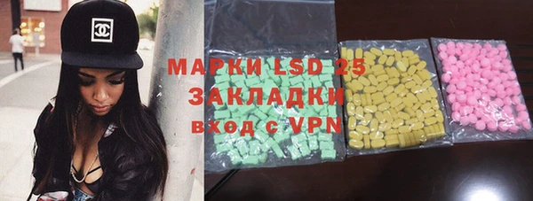 шишки Белоозёрский