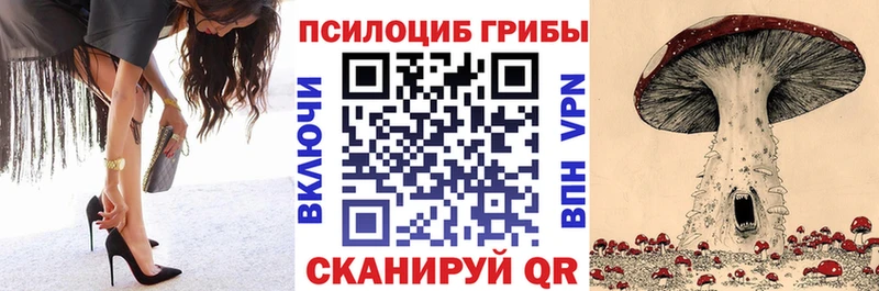 Псилоцибиновые грибы GOLDEN TEACHER  как найти закладки  Болгар 